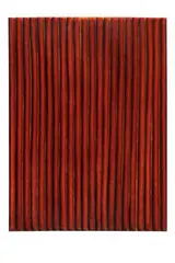 Rick Arnitz, Curtains, 1990, Oil on canvas