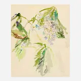 Oskar Kokoschka, Kastanienblüte