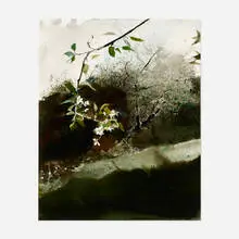Andrew Wyeth, Bartlett Pear, 1983, watercolor on paper