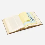 Ulysses, by James Joyce by Henri Matisse, 1935, 20 lithographs and etchings in bound book, sold Jun 2021