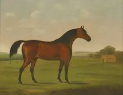 Joseph Barber, Untitled, oil on canvas 43 x 53.5cm