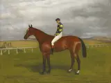 Richard Miley, Untitled, oil on canvas 72 x 92cm
