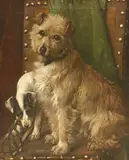 Edouard Chappel, Untitled, oil on canvas 61 x 50.5cm