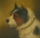 George Armfield, Untitled, oil on board 24 x 23cm (2)