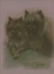 Marjorie Cox, Untitled, pastel 49.5 x 39cm (5) .