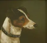 Edward Aistrop, Untitled, Edward Aistrop (fl.1880-1920) A SMOOTH FOX TERRIER Oil on board 16 x 16cm