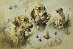 Andrew Haslen, Untitled, Andrew Haslen (b.1953) STUDIES OF A GOLDEN LABRADOR WITH PARTRIDGE Oil on canvas