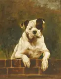 Charles Dudley, Untitled, oil on canvas 46 x 36cm