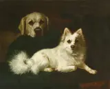 Untitled by Dutch School, Dutch School (19th century) A POMERANIAN AND LABRADOR Oil on canvas, sold Apr 2019