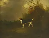 John Dalby, Untitled, oil on canvas 30 x 37cm