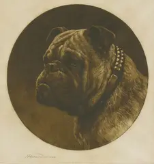 Untitled by Herbert Dicksee, Herbert Thomas Dicksee RE (1862-1942) A BRITISH BULLDOG Etching, sold Apr 2019