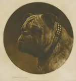 Herbert Dicksee, Untitled, Herbert Thomas Dicksee RE (1862-1942) A BRITISH BULLDOG Etching