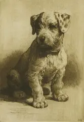 Untitled by Herbert Dicksee, Herbert Thomas Dicksee RE (1862-1942) A SEALYHAM PUP Etching, sold Apr 2019