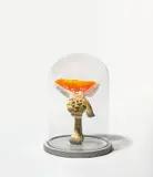 Carsten Höller, Triple Mushroom Dome (Amanita muscaria/Coprinopsis atramentaria/Acrolepiota procera)