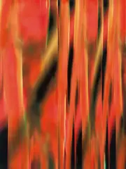 Michel Tabori, Desert Ecstasy 3, 2007, Mixed media and resin on canvas