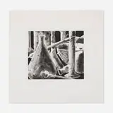 Tony Cragg, Laboratory Still Life No. 3, 1988, etching and aquatint