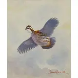 Kenneth Smallwood, Quail