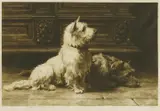 Herbert Dicksee, Untitled, Herbert Thomas Dicksee RE (1862-1942) FOOTSTEPS Etching