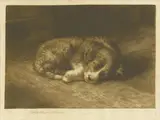Herbert Dicksee, Untitled, Herbert Thomas Dicksee RE (1862-1942) THE FIRST NIGHT FROM HOME Etching