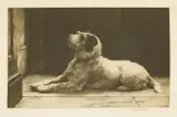 Herbert Dicksee, Untitled, Herbert Thomas Dicksee RE (1862-1942) THE CLOSED DOOR Etching