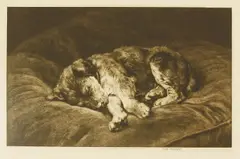 Untitled by Herbert Dicksee, Herbert Thomas Dicksee RE (1862-1942) ON VELVET Etching on japan paper, sold Apr 2019