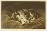 Herbert Dicksee, Untitled, Herbert Thomas Dicksee RE (1862-1942) ON VELVET Etching on japan paper