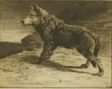 Herbert Dicksee, Untitled, Herbert Thomas Dicksee RE (1862-1942) THE LONE WOLF Etching