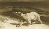 Herbert Dicksee, Untitled, mezzotint engraving