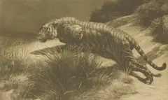 Untitled by Herbert Dicksee, Herbert Thomas Dicksee RE (1862-1942) STARTLED Etching, sold Apr 2019