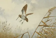 Untitled by John Cyril Harrison, watercolour 22.5 x 33cm ., sold Apr 2019