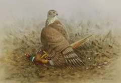 Ron David Digby, Untitled, watercolour and bodycolour