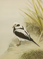 Kevin Richardson, Untitled, watercolour and bodycolour 45.5 x 36cm