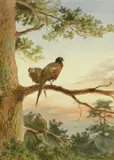 John Cyril Harrison, Untitled