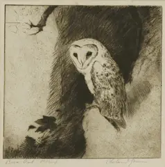 Roland Green, Untitled, Roland Green (1890-1972) BARN OWL Etching