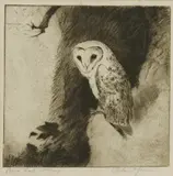 Roland Green, Untitled, Roland Green (1890-1972) BARN OWL Etching