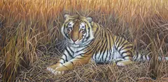 Mark Whittaker, Untitled, oil on canvas 60 x 121cm .