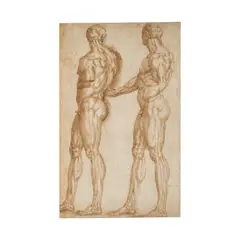 Baccio Bandinelli, Deux études de figures masculines (recto); Etude d'un taureau (verso), pen and brown ink (recto); red chalk (verso)