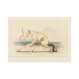 Sir Edwin Henry Landseer Ra, Crossing the Solent, black chalk, watercolour on paper