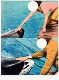 John Baldessari, Two Whales (with People)