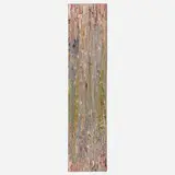 Larry Poons, Cantilla