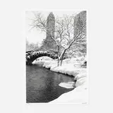 Alfred Eisenstaedt, Central Park After a Snowstorm