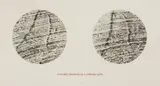 Richard Long, Untitled, b.1945) A DOUBLE DRAWING OF A CORNISH SLATE Screenprint in colours