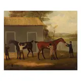 John Nost Sartorius, Le soin de chevaux, oil on canvas