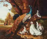 Continental School, A peacock and other exotic fowl in a landscape; and a companion painting (a pair), both oil on canvas