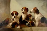 Edward Robert Smythe, Favorite Hounds, the property E. Walter Greene Esq, Master of the Suffolk Hounds, oil on canvas