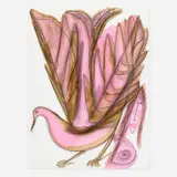 Thornton Dial, Sr., Lady with a Pink Bird
