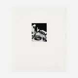 György Kepes, Untitled #42