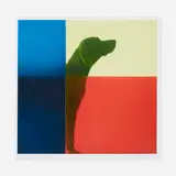 William Wegman, Flag Rising Moment, 2006, pigment print