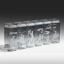 Kara Walker, Canisters, 1997, etched glass, rubber gasket