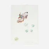 Kiki Smith, Untitled, 2006, monoprint